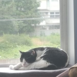 Meet your Posher, Carrie